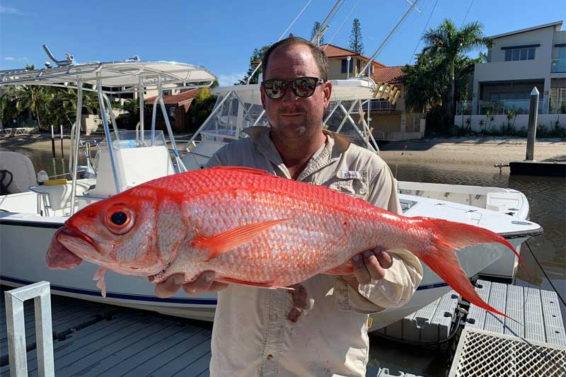 Load image into Gallery viewer, Bar Cod &amp; Flame Snapper Rig - 3 hook. Australian Made
