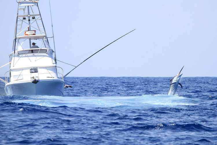 Australia's Game Fishing Specialists